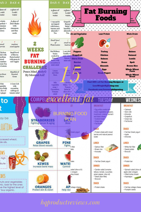 15-excellent-fat-burning-food-plan-best-product-reviews